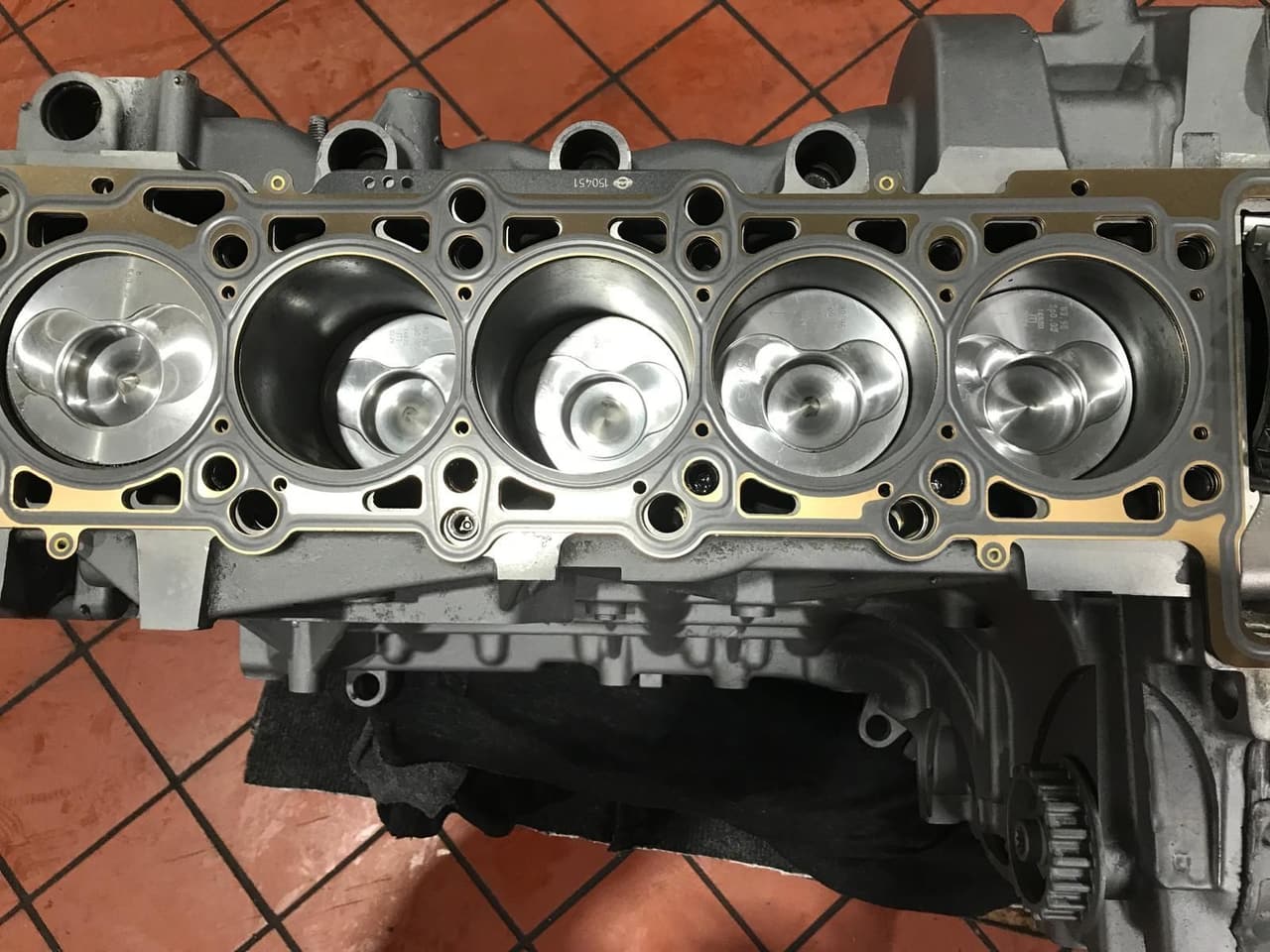 Rumpfmotor VW 2.0 TDI von oben: neue Kolben mit Brennraummulde, frisch bearbeitete Zylinderlaufbahnen, Kopfdichtung aufgelegt